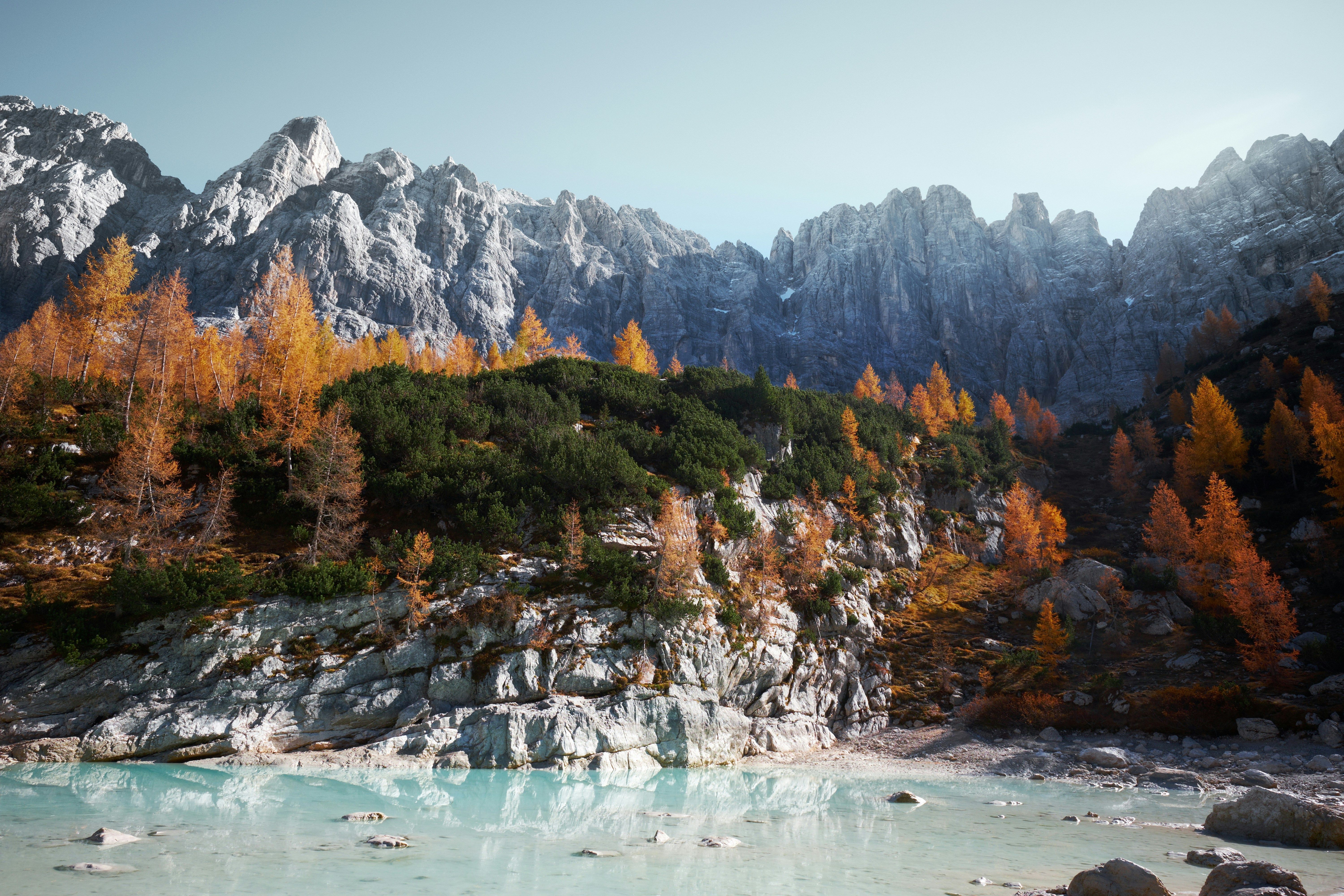 luca bravo ii5JY 46xH0 unsplash